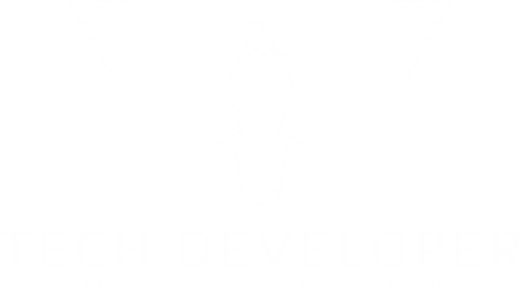 Tech Developer